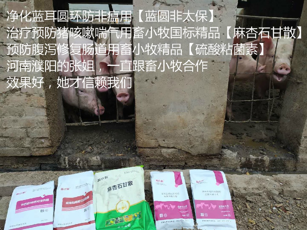 河南张大姐【蓝圆非太保】【硫酸粘菌素】【麻杏石甘散】真实反馈！
