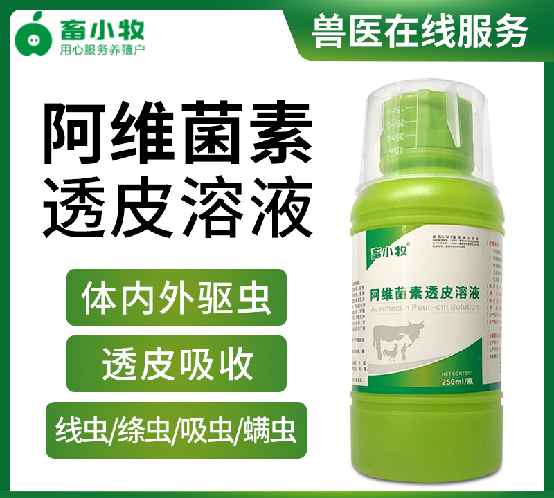 畜小牧-阿维菌素透皮溶液