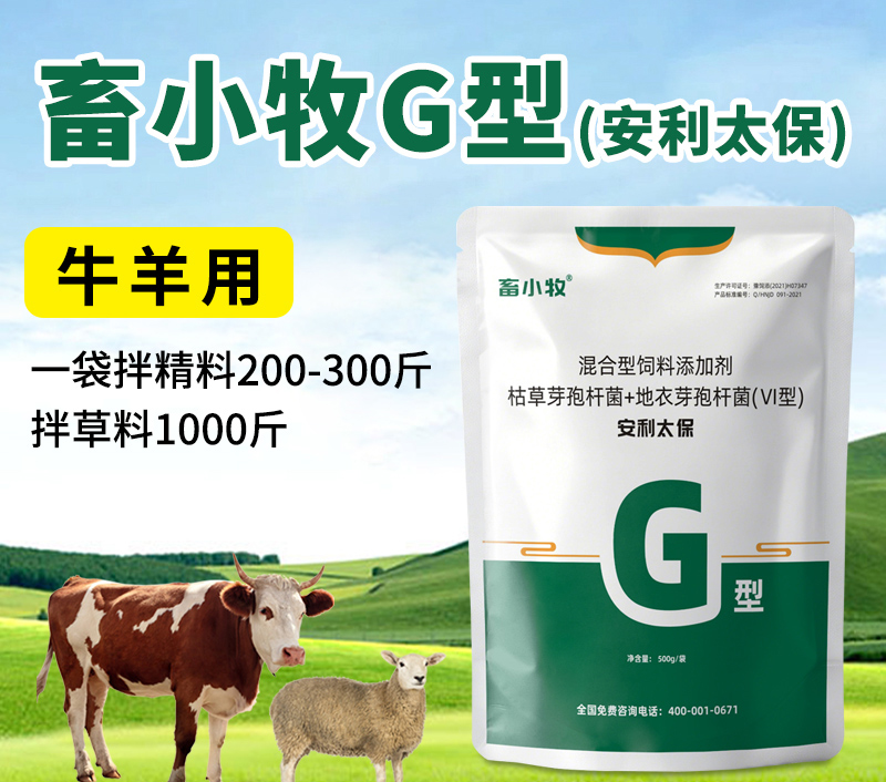 G型 安利太保